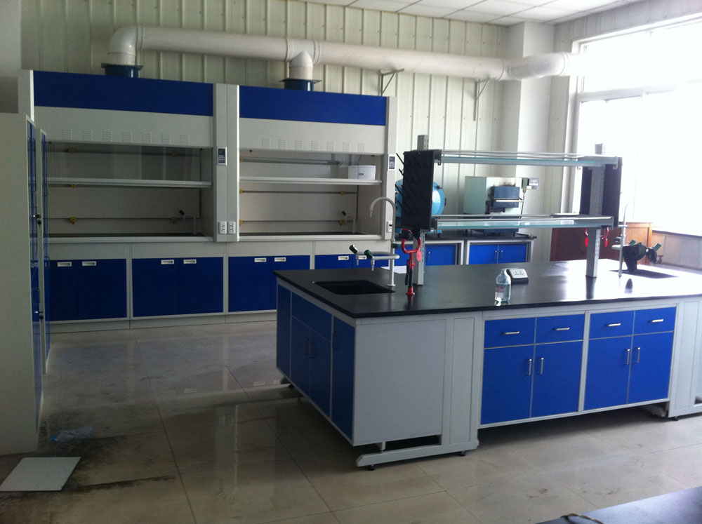 實(shí)驗(yàn)室通風(fēng)柜（標(biāo)準(zhǔn)型、補(bǔ)風(fēng)型、聯(lián)體型、桌上型、落地式、不銹鋼通風(fēng)柜）