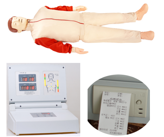 單人徒手心肺復(fù)蘇操作模型